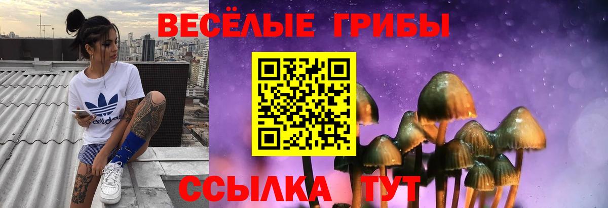 Псилоцибиновые грибы MAGIC MUSHROOMS  Вход с VPN  купить наркоту  Псилоцибиновые грибы прущие грибы  Белореченск 